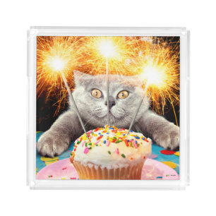Cat With Sparkler Cupcake Acrylic Tray
