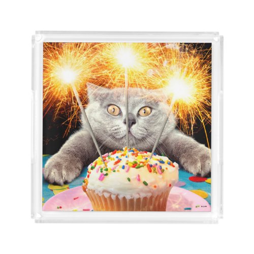 Cat With Sparkler Cupcake Acrylic Tray