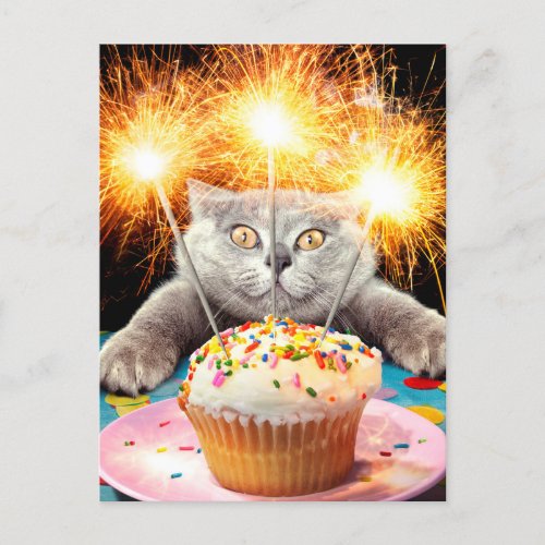Cat With Sparkler Cupcake Invitation Postcard