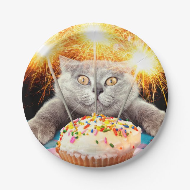 Cat With Sparkler Cupcake Paper Plates (Front)