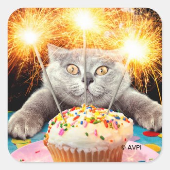 Cat With Sparkler Cupcake Square Sticker by AvantiPress at Zazzle