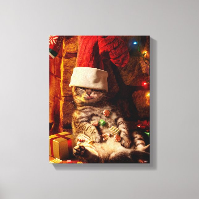 Cat With Stocking on Head Canvas Print (Front)