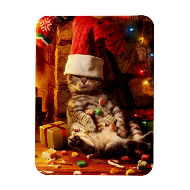 Cat With Stocking on Head Magnet (Vertical)