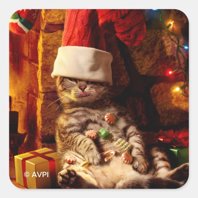 Cat With Stocking on Head Square Sticker (Front)