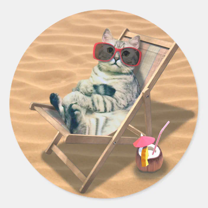 Adorable Kitten Cat Relaxing Beach Ocean Sunglasses Birthday Greeting Card NEW