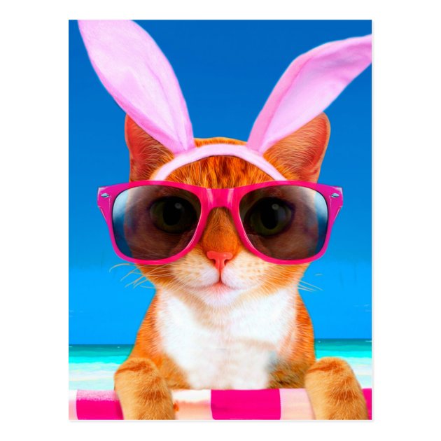 bunny sunglasses