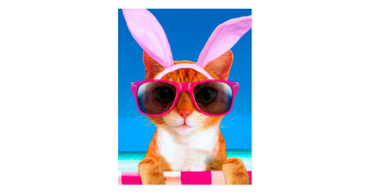 cat with sunglasses and rabbit ears postcard zazzle com