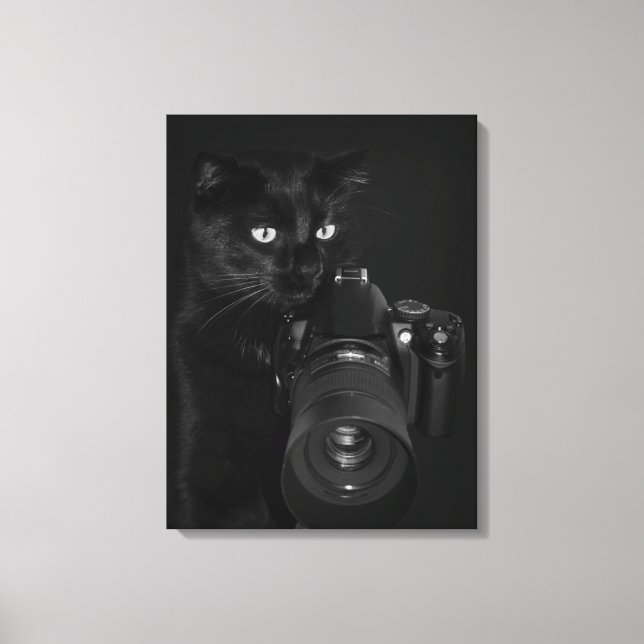Cat with the camera canvas print (Front)