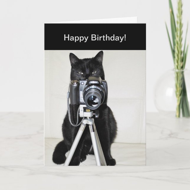Cat with the camera card (Front)