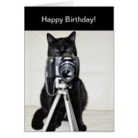 Cat with the camera card