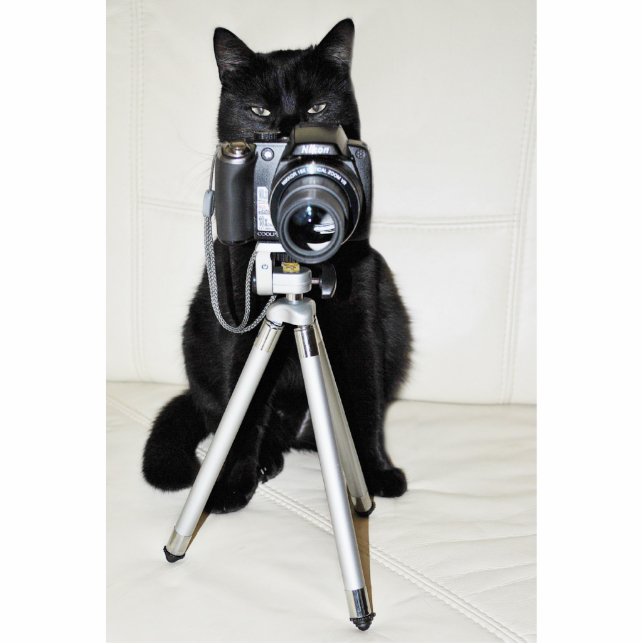 Cat with the camera -  Fotoskulptur Statuette (Front)