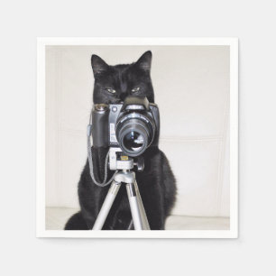 Cat with the camera napkins
