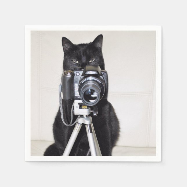 Cat with the camera napkins (Front)