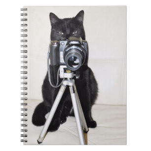 Cat with the camera notebook