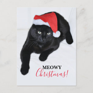 Cat with the Red Santa Hat Holiday Postcard