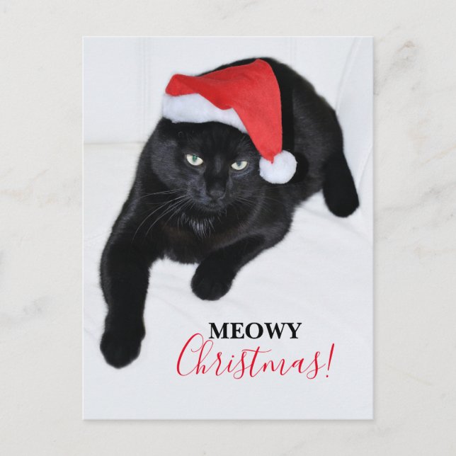 Cat with the Red Santa Hat Holiday Postcard (Front)