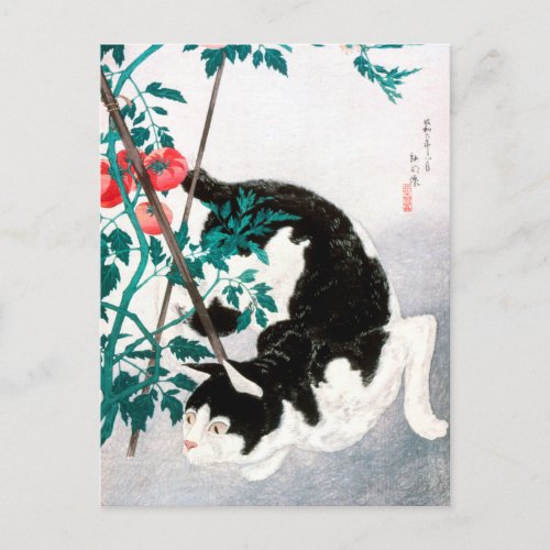 Cat with Tomato Plant 1931 by Hiroaki Takahashi Postcard