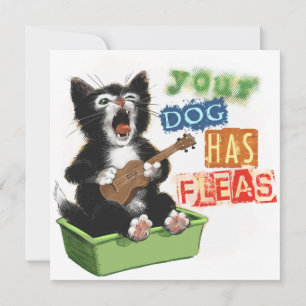 Cat with Ukulele Card