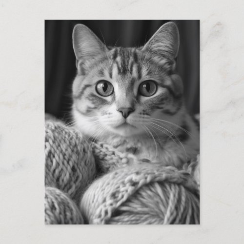 Cat with Yarn Black and White Postcard