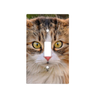 Cat with yellow eyes light switch cover