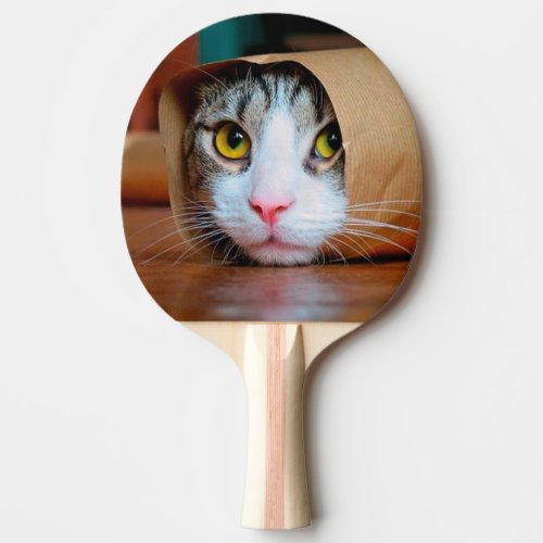 Cat wrapped in a brown paper ping pong paddle