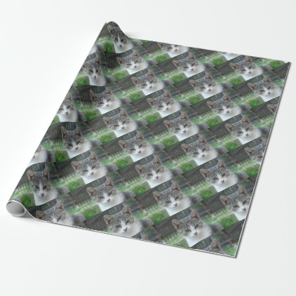 cat wrapping paper