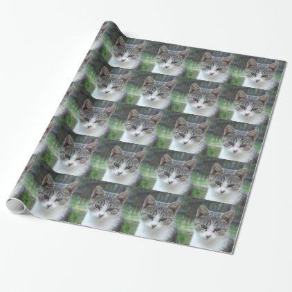 cat wrapping paper