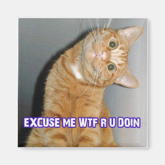cat wtf magnet