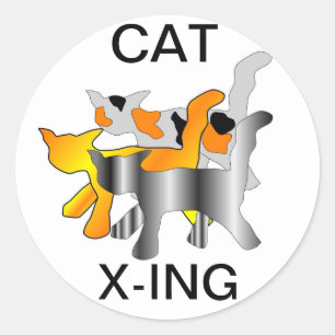 CAT X-ING STICKERS