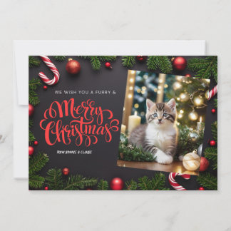 cat xmas greeting card