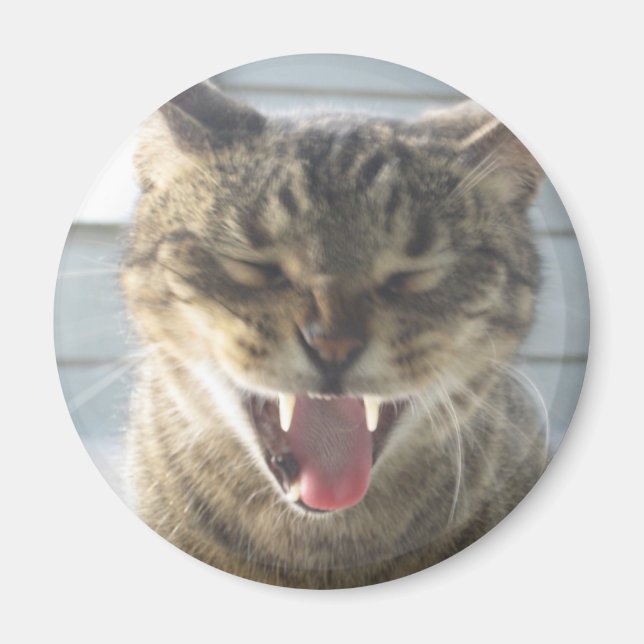 Cat Yawn Magnet (Front)