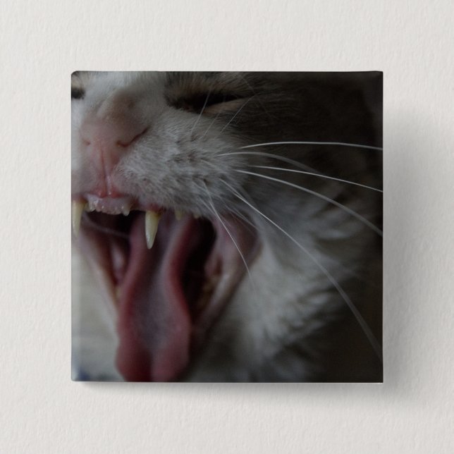 Cat Yawning Pinback Button (Front)