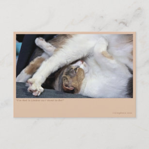"Cat Yoga"" Enclosure Card