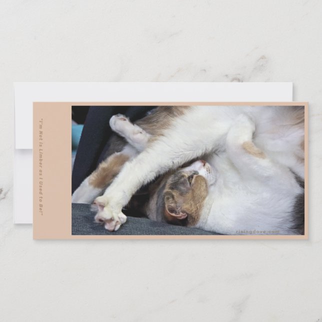 Cat Yoga/Sweet Face Thank You Card (Front)