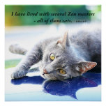 Cat Zen Master Poster at Zazzle
