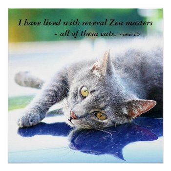 Cat Zen Master Poster by InnerEssenceArt at Zazzle