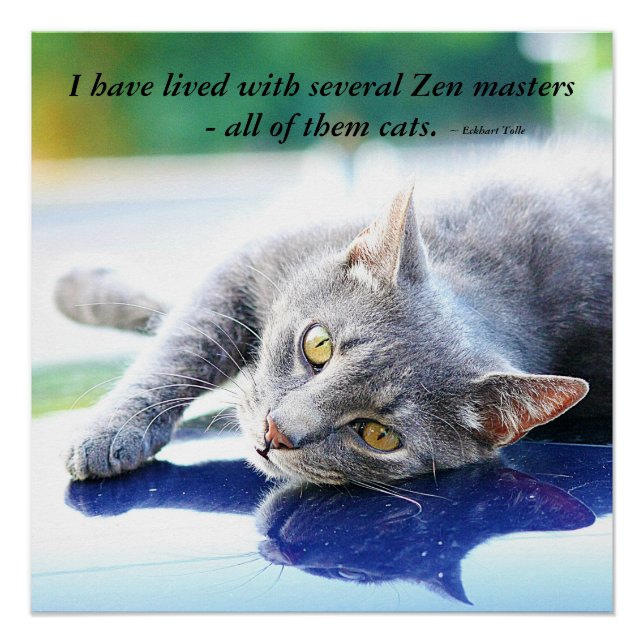 Cat Zen Master Poster (Front)