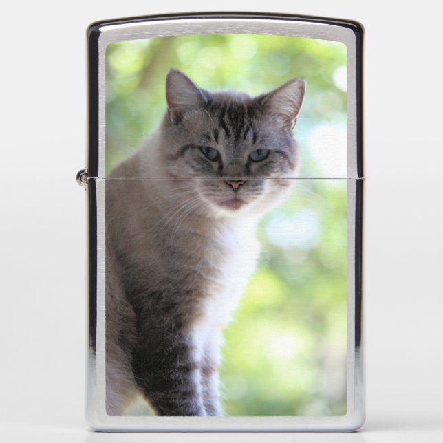 Cat Zippo Lighter (Front)