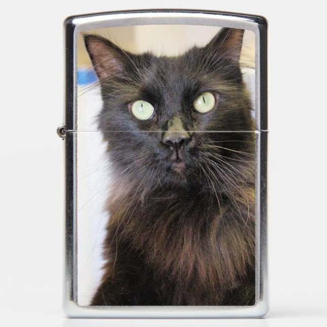 Cat Zippo Lighter (Front)