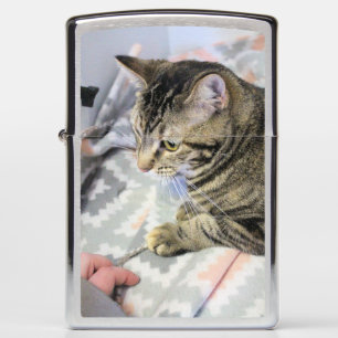 Cat Zippo Lighter