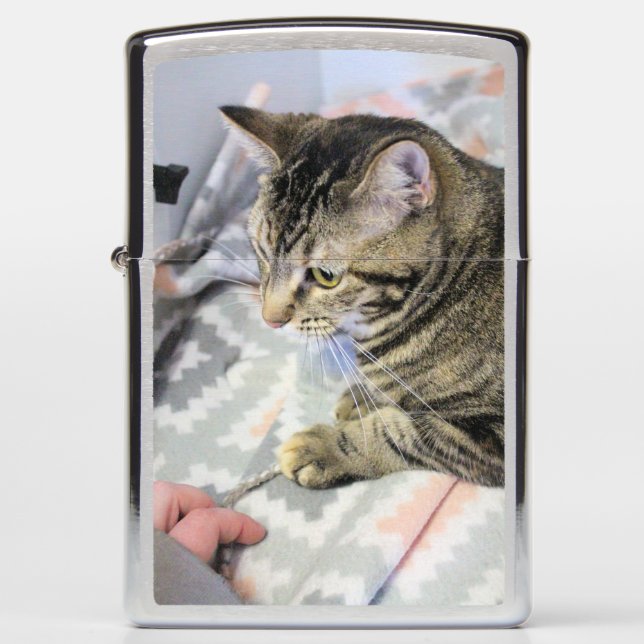 Cat Zippo Lighter (Front)