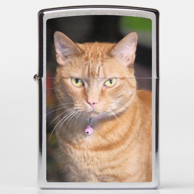 Cat Zippo Lighter (Front)