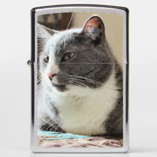 Cat Zippo Lighter