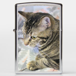 Cat Zippo Lighter
