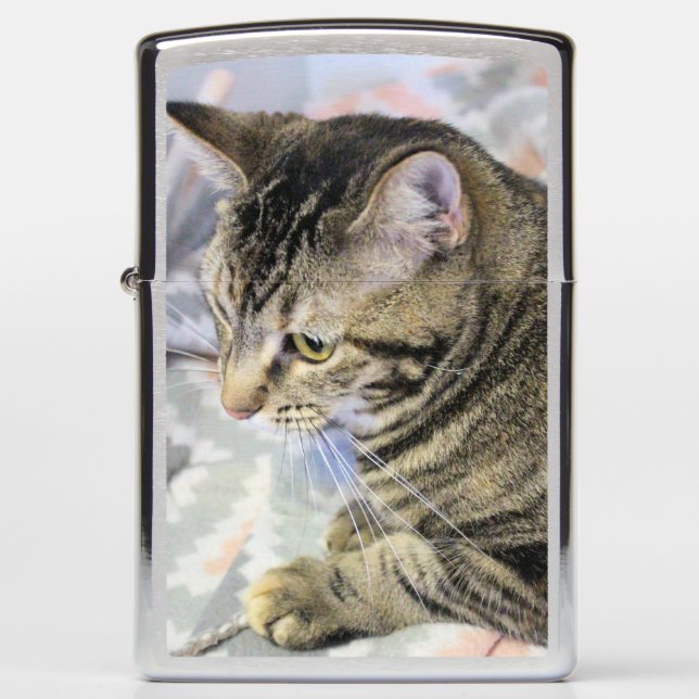 Cat Zippo Lighter (Front)