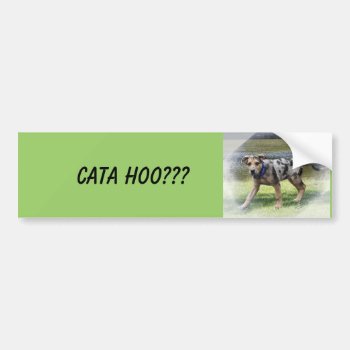 Cata Hoo??? Bumper Sticker by woodlandesigns at Zazzle