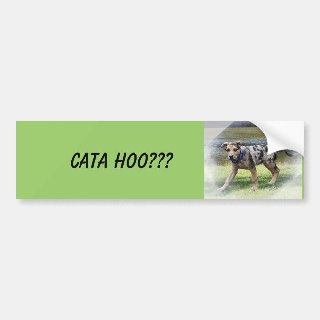 CATA HOO??? BUMPER STICKER (Front)