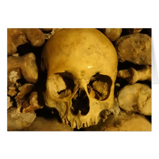 Catacombs in France (Front Horizontal)