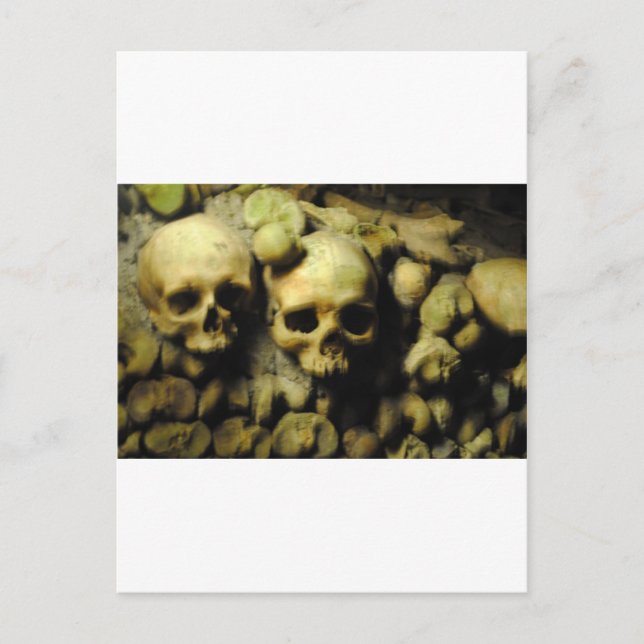 Catacombs in France Postcard (Front)