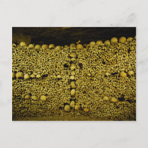 Catacombs of Paris Postcard